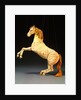 Horse Marionette. England, mid-20th century by Unknown