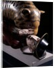 Tipu's Tiger by Unknown