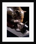 Tipu's Tiger by Unknown
