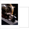 Tipu's Tiger by Unknown