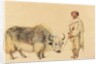 Tibet Ox and Man from Kunawur by William Carpenter
