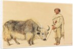 Tibet Ox and Man from Kunawur by William Carpenter