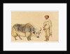 Tibet Ox and Man from Kunawur by William Carpenter