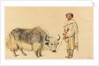 Tibet Ox and Man from Kunawur by William Carpenter