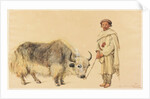 Tibet Ox and Man from Kunawur by William Carpenter