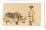 Tibet Ox and Man from Kunawur by William Carpenter