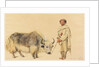 Tibet Ox and Man from Kunawur by William Carpenter