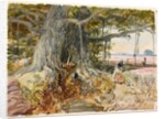 Harvesting opium from poppies under the branches of a banyan tree by William Simpson