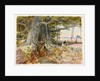 Harvesting opium from poppies under the branches of a banyan tree by William Simpson