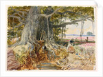 Harvesting opium from poppies under the branches of a banyan tree by William Simpson
