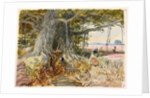Harvesting opium from poppies under the branches of a banyan tree by William Simpson
