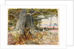 Harvesting opium from poppies under the branches of a banyan tree by William Simpson