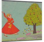 A man throwing stones at a mango tree. Bundi, India, 19th century by Unknown