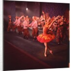 Margot Fonteyn in Michel Fokine's The Firebird at The Royal Ballet by Houston Rogers