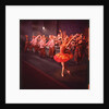 Margot Fonteyn in Michel Fokine's The Firebird at The Royal Ballet by Houston Rogers