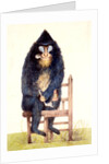 The Mandrill at the Royal Menagerie in the King's Mews by N. Jones