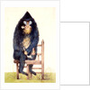 The Mandrill at the Royal Menagerie in the King's Mews by N. Jones