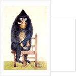 The Mandrill at the Royal Menagerie in the King's Mews by N. Jones