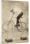 Trick Cyclist Balancing on Candles by Anonymous