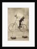 Trick Cyclist Balancing on Candles by Anonymous