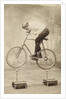 Trick Cyclist Balancing on Candles by Anonymous