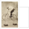 Trick Cyclist Balancing on Candles by Anonymous