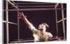 Pierrot Lunaire by Anthony Crickmay
