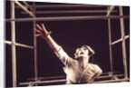 Pierrot Lunaire by Anthony Crickmay