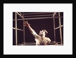Pierrot Lunaire by Anthony Crickmay