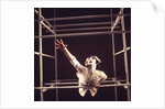 Pierrot Lunaire by Anthony Crickmay
