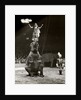 Elephant Ballet in Bertram Mills' Circus by Baron Nicholas de Racozcy