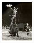 Elephant Ballet in Bertram Mills' Circus by Baron Nicholas de Racozcy
