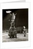 Elephant Ballet in Bertram Mills' Circus by Baron Nicholas de Racozcy