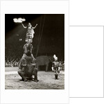Elephant Ballet in Bertram Mills' Circus by Baron Nicholas de Racozcy