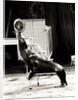 Scott's Californian Sea Lions at the Gerry Cottle's Circus by Anonymous