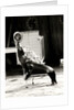 Scott's Californian Sea Lions at the Gerry Cottle's Circus by Anonymous