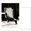 Scott's Californian Sea Lions at the Gerry Cottle's Circus by Anonymous