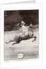 Circus Molier Equestrienne by J. Delton