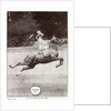 Circus Molier Equestrienne by J. Delton