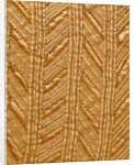 Detail of man's cloak by Unknown