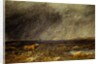 The Challenge: A Bull in a Storm on the Moor by David Cox The Elder