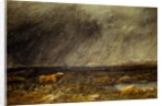 The Challenge: A Bull in a Storm on the Moor by David Cox The Elder