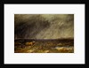 The Challenge: A Bull in a Storm on the Moor by David Cox The Elder