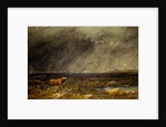The Challenge: A Bull in a Storm on the Moor by David Cox The Elder