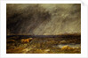 The Challenge: A Bull in a Storm on the Moor by David Cox The Elder