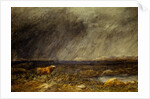 The Challenge: A Bull in a Storm on the Moor by David Cox The Elder