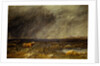 The Challenge: A Bull in a Storm on the Moor by David Cox The Elder