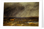 The Challenge: A Bull in a Storm on the Moor by David Cox The Elder