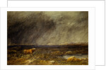 The Challenge: A Bull in a Storm on the Moor by David Cox The Elder