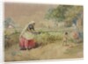 Cotton cultivation in India by William Simpson